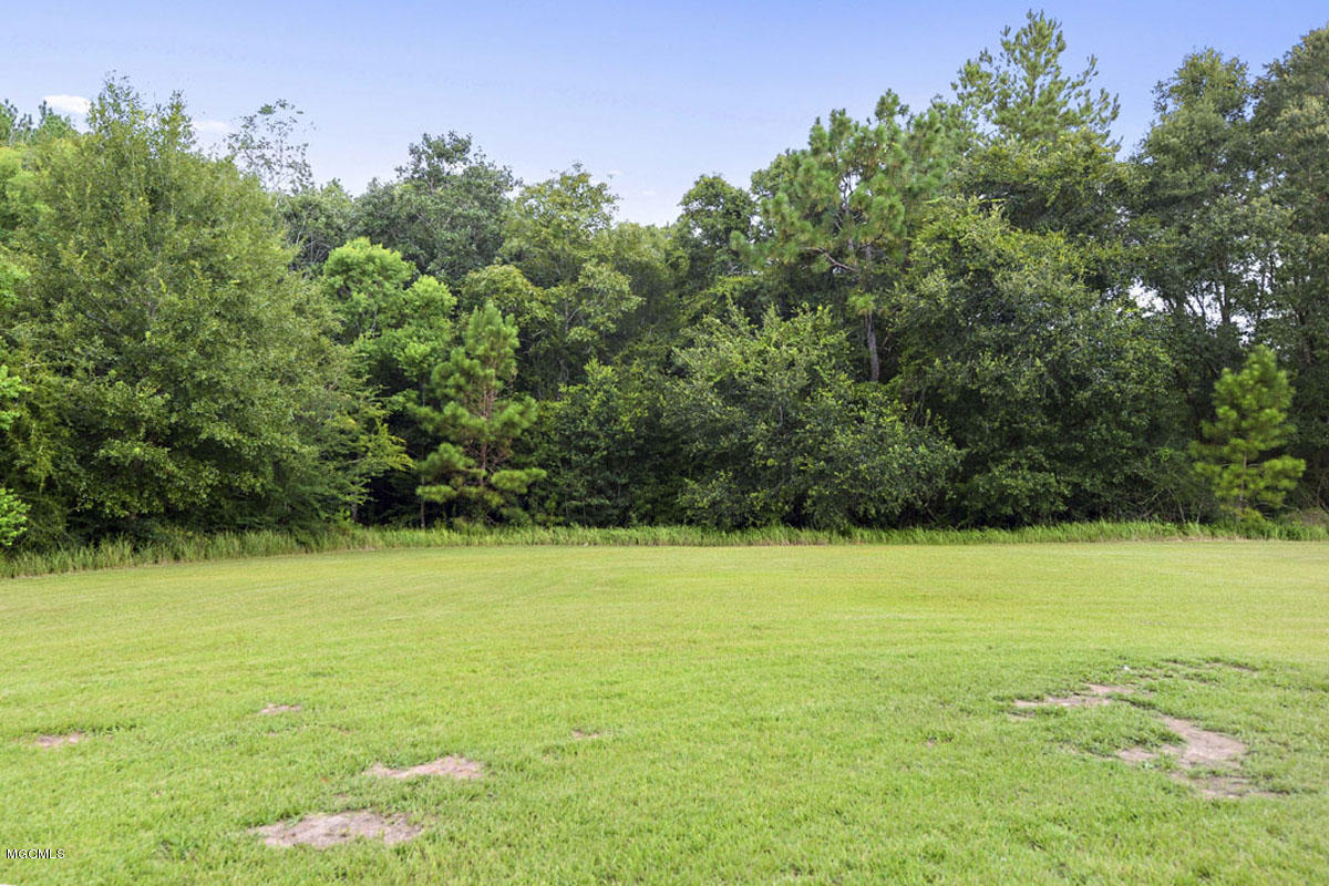 135 Susan Cooley Road Lucedale, MS 39452 - Photo 22 of 22 022