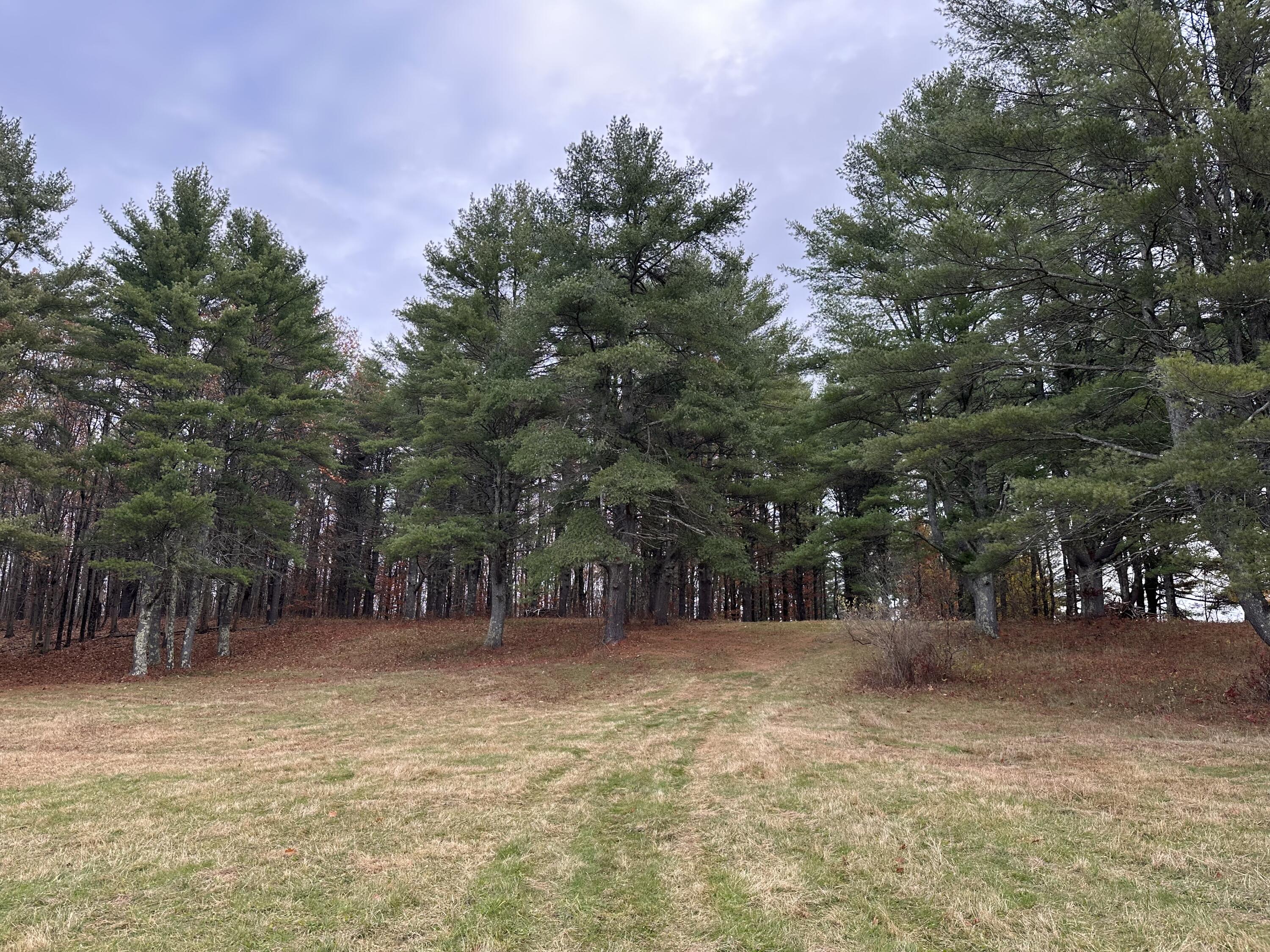 180 Highland Cliff Road Windham, ME 04062 - Photo 17 of 100 IMG_5396