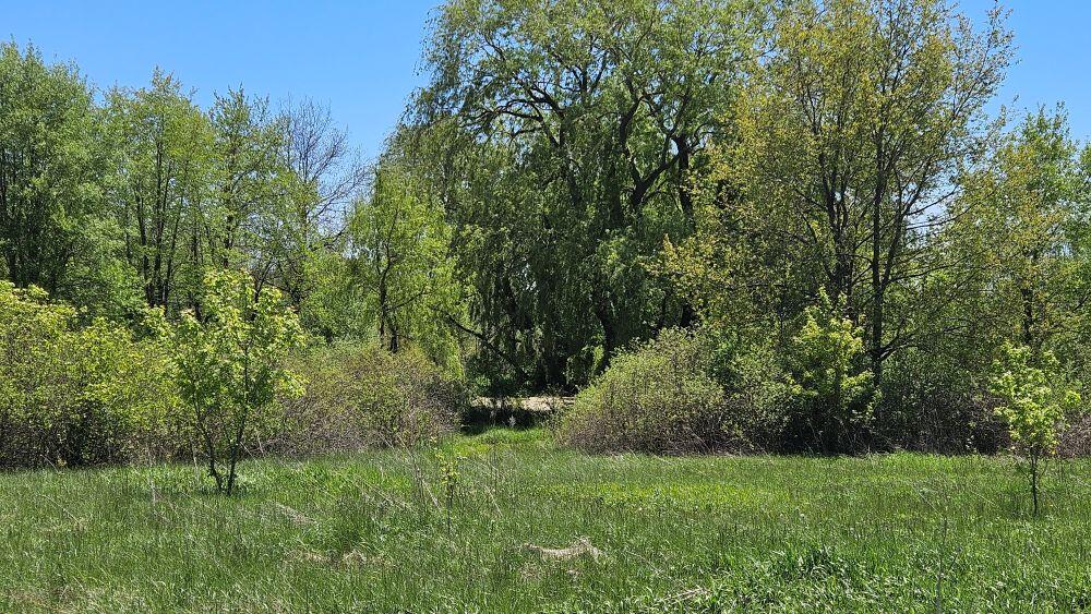 W5090 Navan Road Watertown, WI 53094 - Photo 22 of 52 20260514_132232