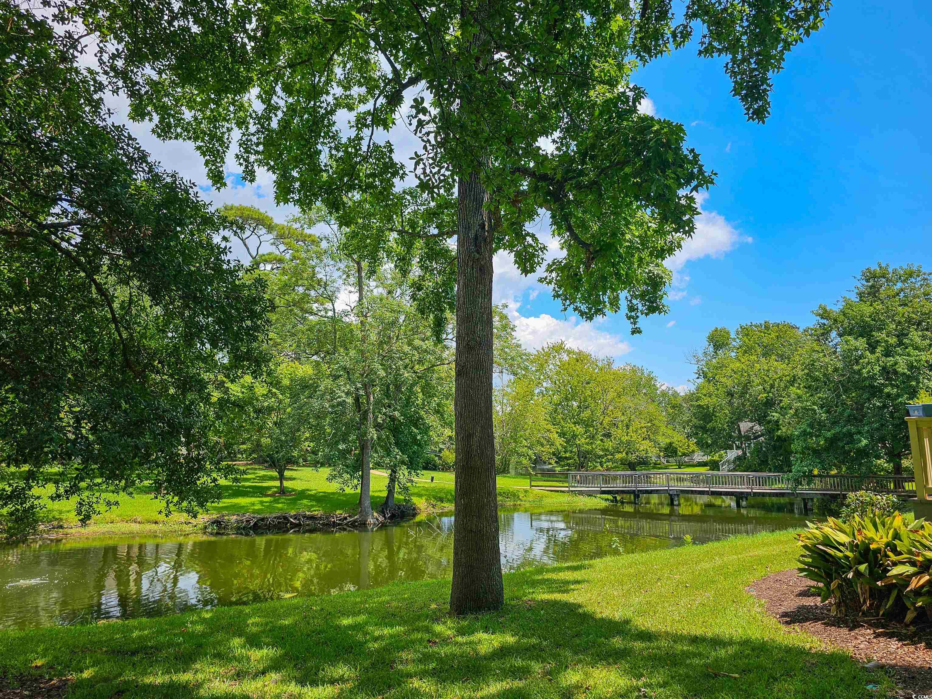 425 Appledore Circle, Unit 3A Myrtle Beach, SC 29572 - Photo 4 of 36