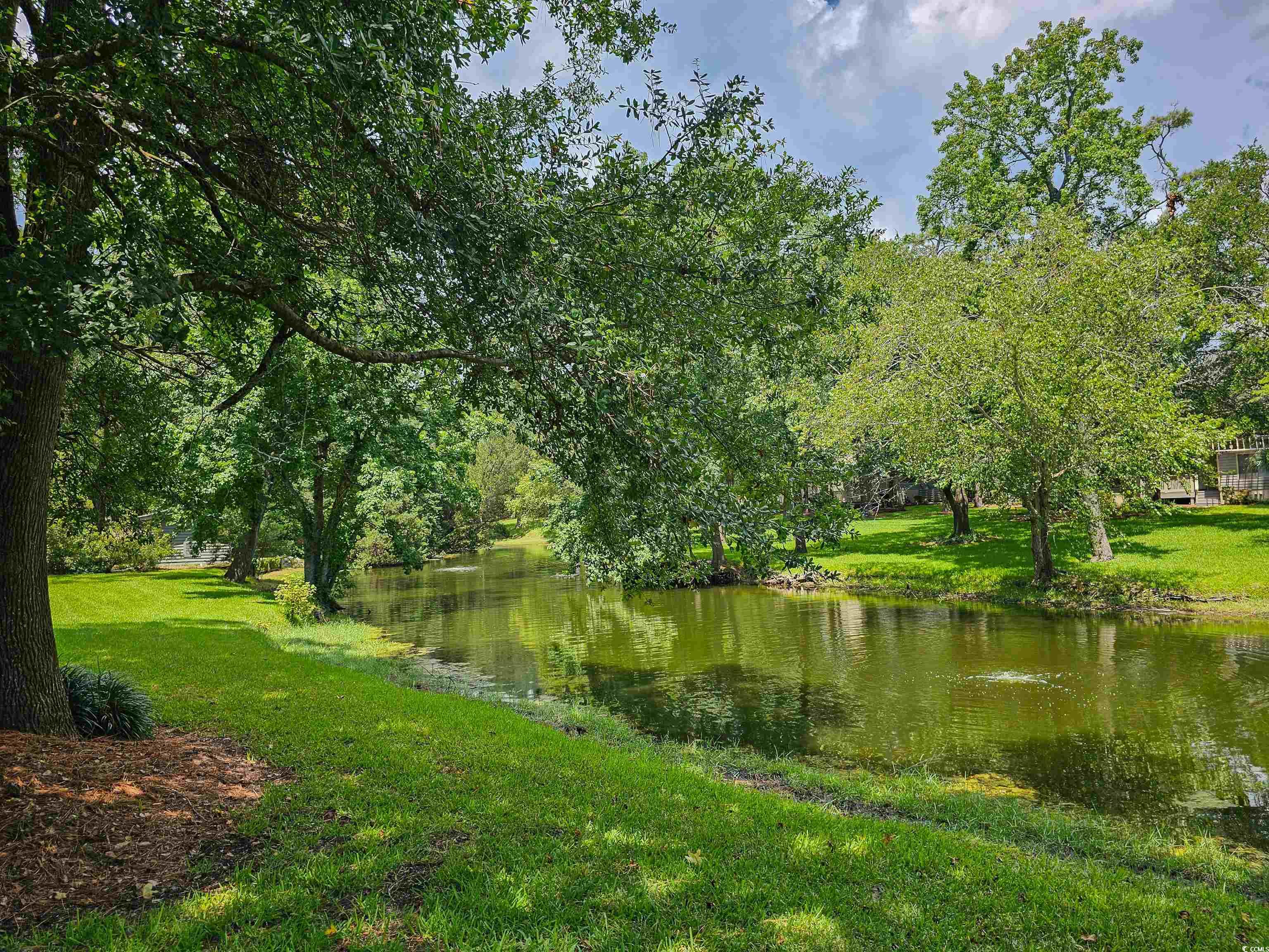 425 Appledore Circle, Unit 3A Myrtle Beach, SC 29572 - Photo 5 of 36