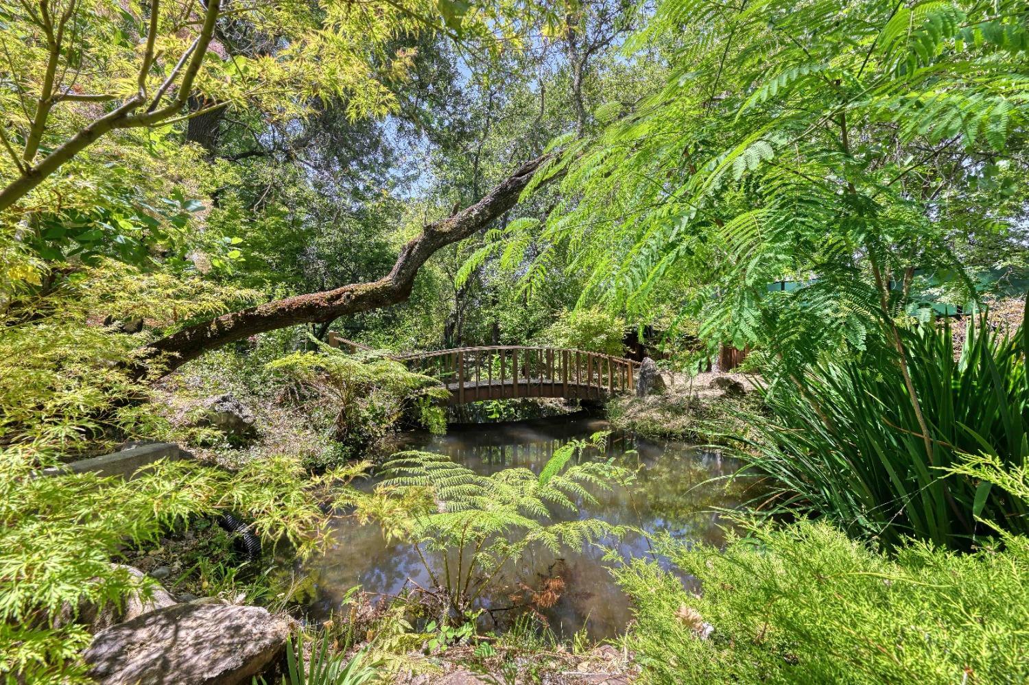 7730 Suzuki Lane Loomis, CA 95650 - Photo 3 of 62 a backyard of a house with lots of green space