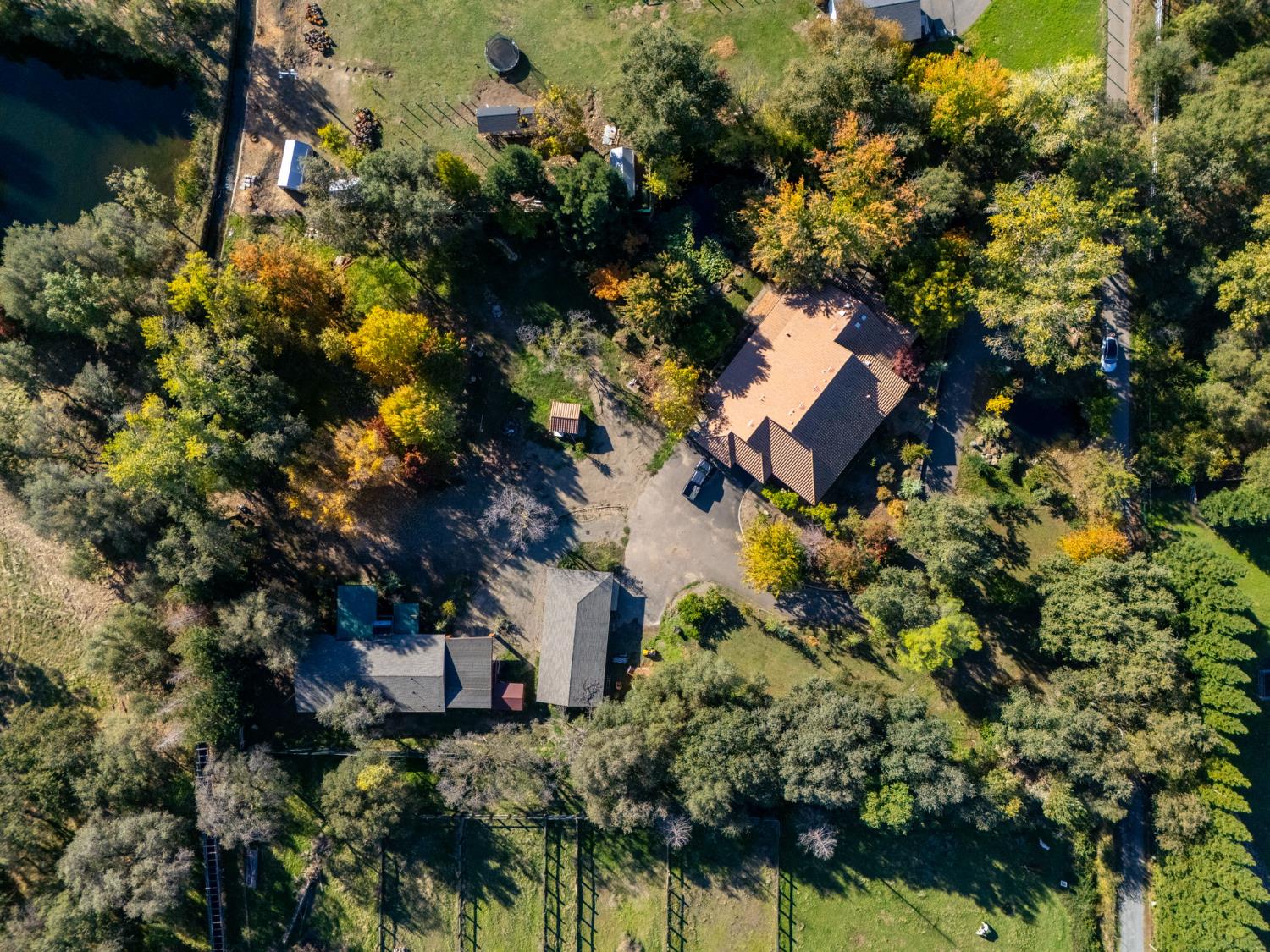 7730 Suzuki Lane Loomis, CA 95650 - Photo 60 of 62 a plant that is in a garden