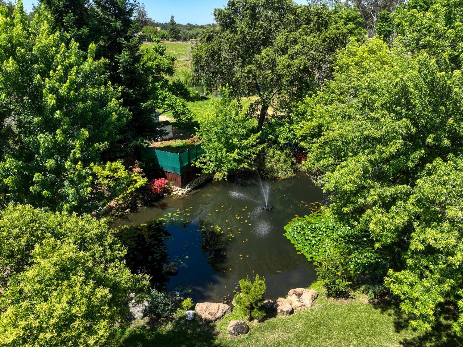 7730 Suzuki Lane Loomis, CA 95650 - Photo 7 of 62 a backyard of a house with a yard with outdoor seating