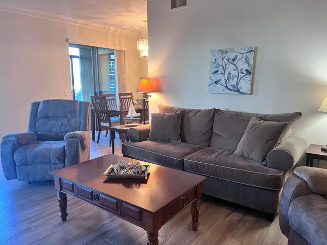 a living room with furniture a wooden floor and a potted plant