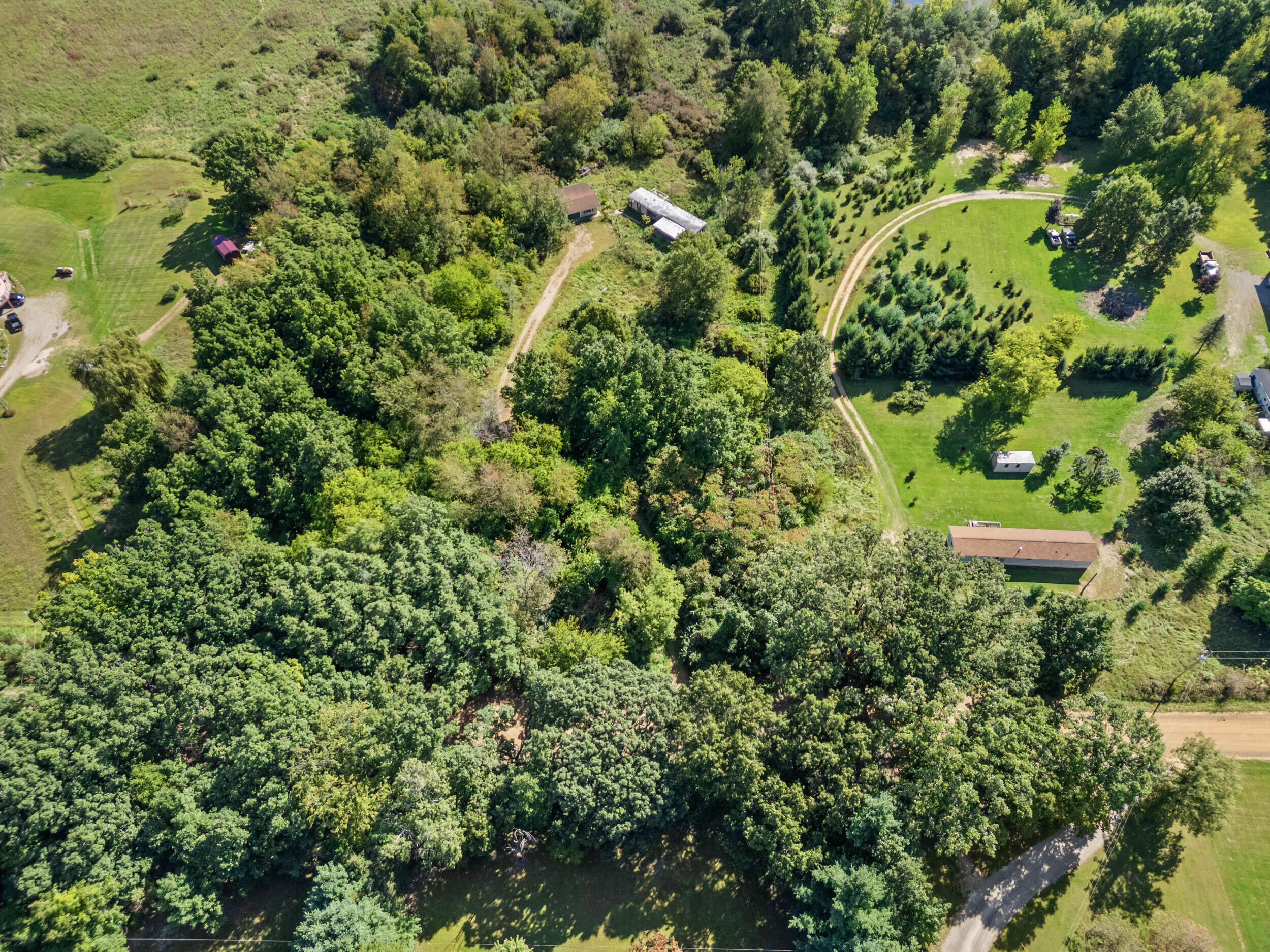 7221 Dobson Road Jonesville, MI 49250 - Photo 7 of 16 DJI_0606