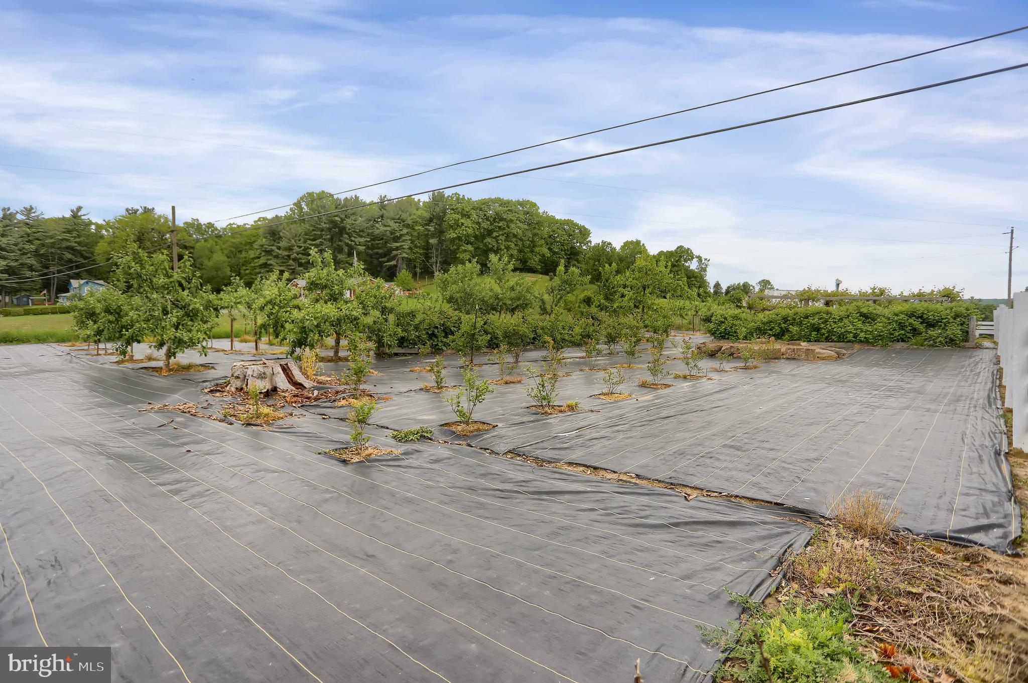 2431 Sylvis Road Cherry Tree, PA 15724 - Photo 53 of 79