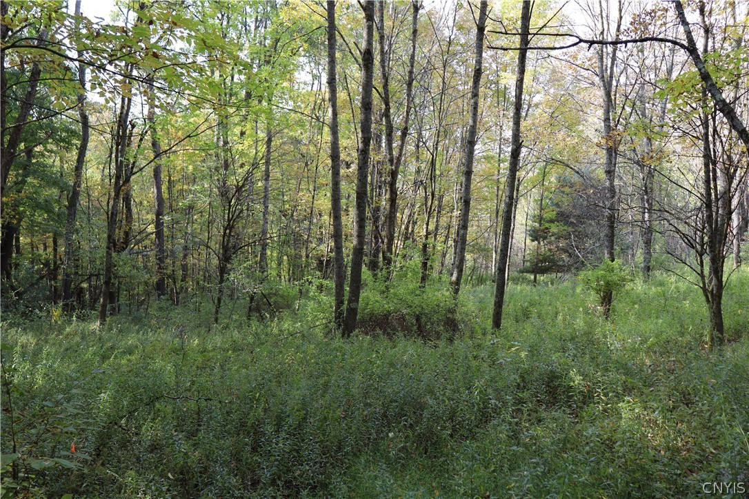 Lawrence Road Windsor, NY 13865 - Photo 8 of 31 Gallery Image 8