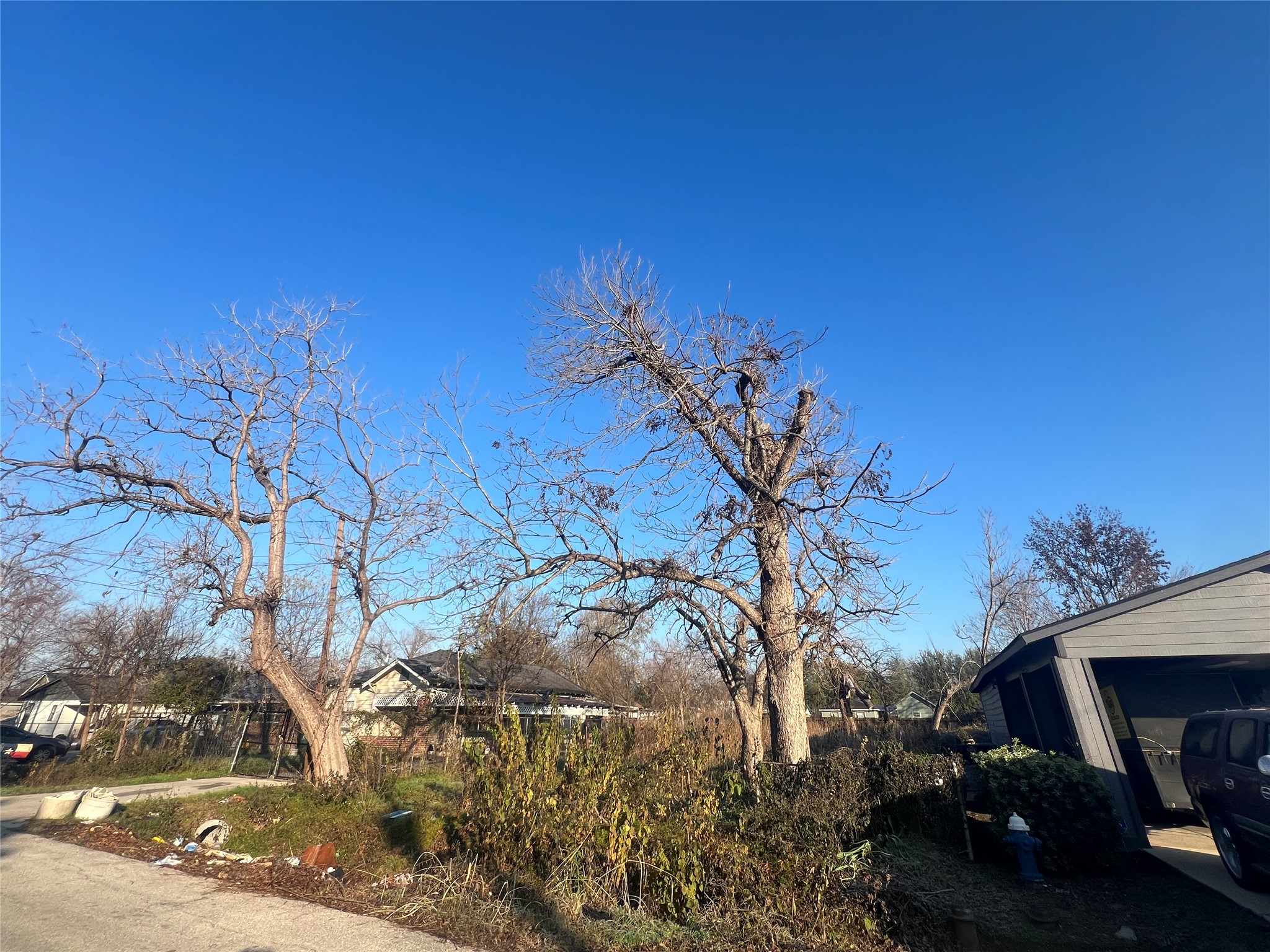 a backyard of a house with lots of green space