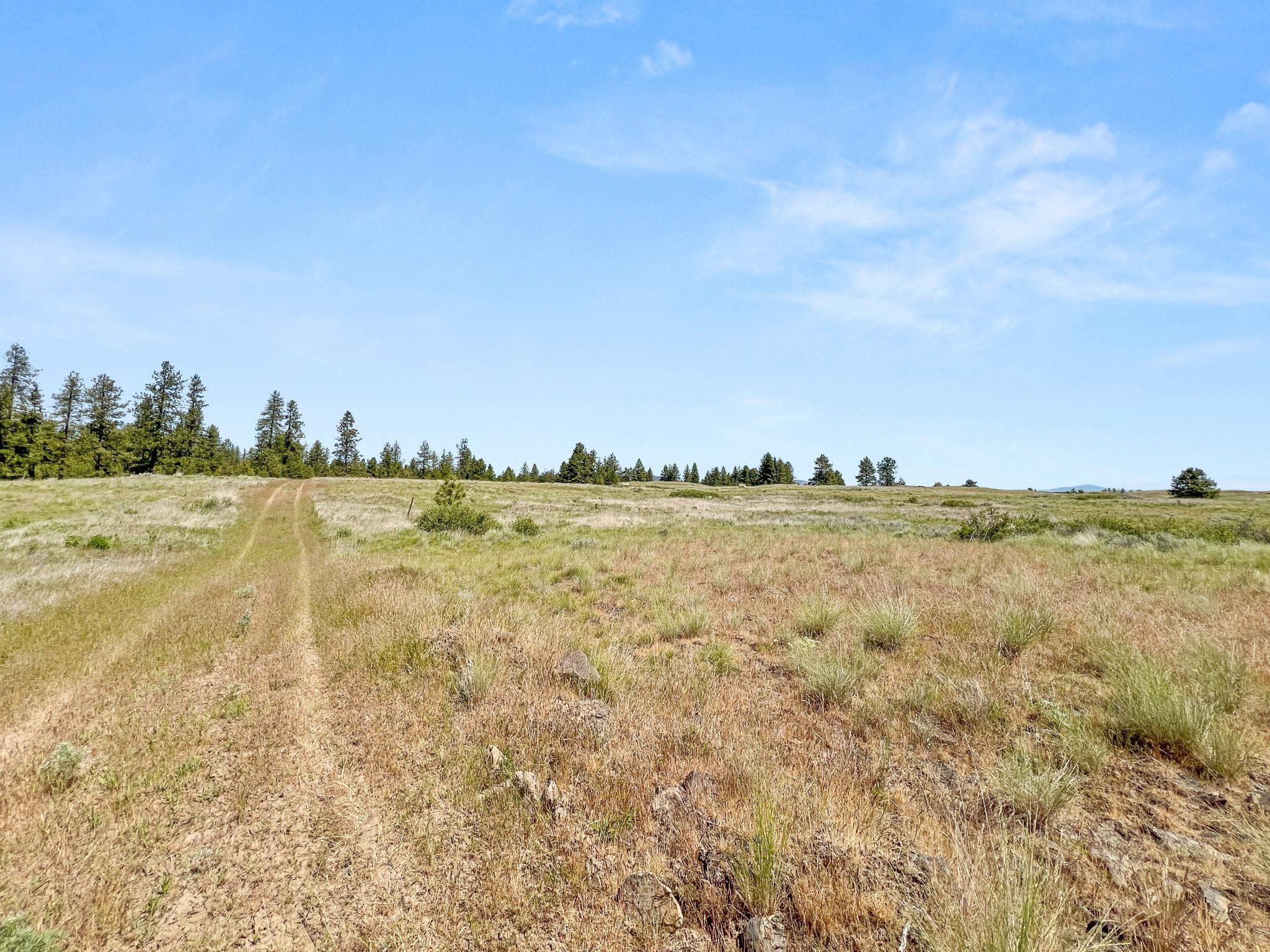 0 West Highland Road Ford, WA 99013 - Photo 39 of 41