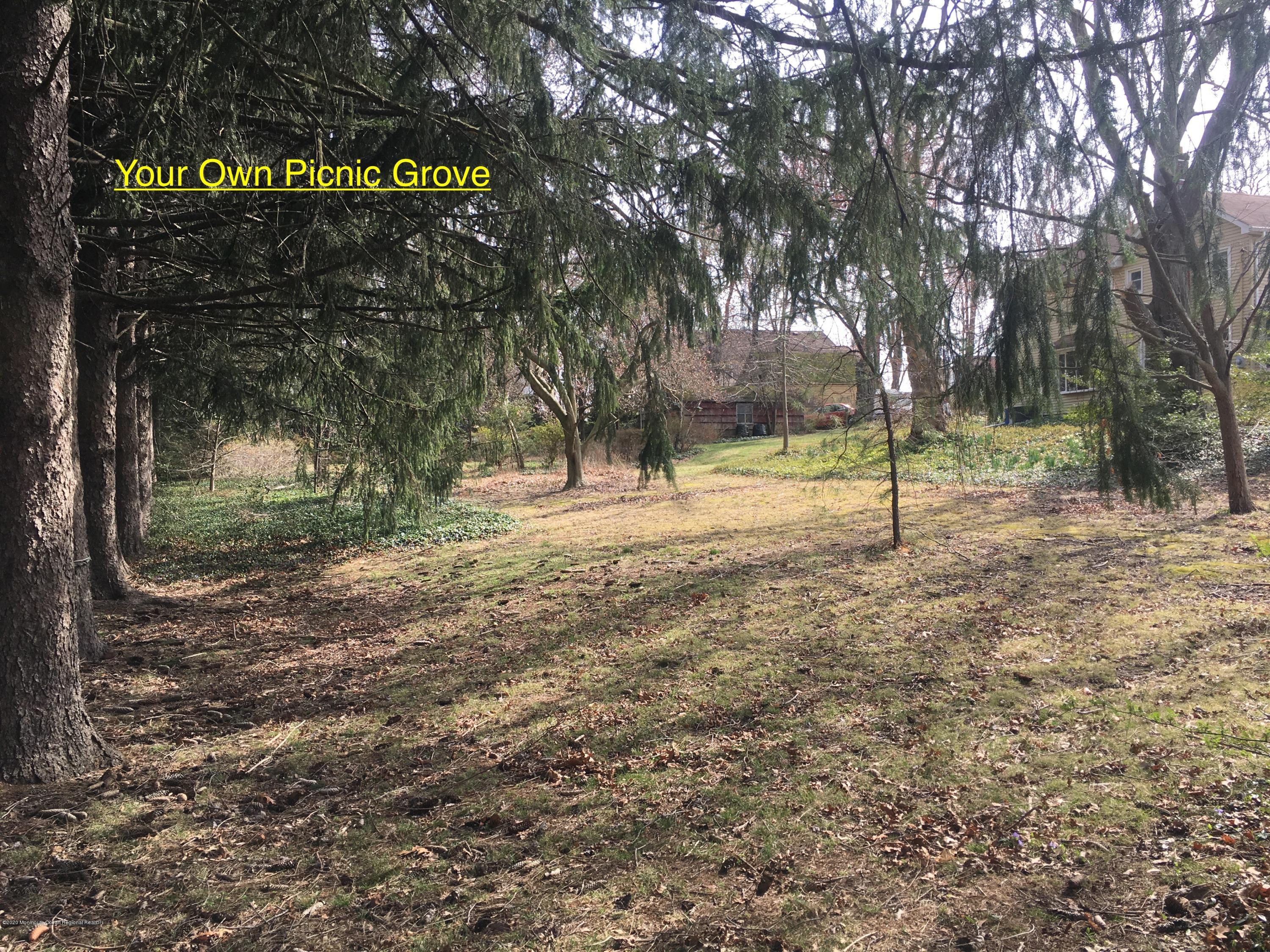111 Tennent Road Morganville, NJ 07751 - Photo 40 of 41 40 Picnic Grove