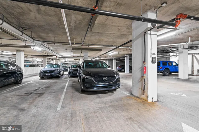 a view of a park with large trees