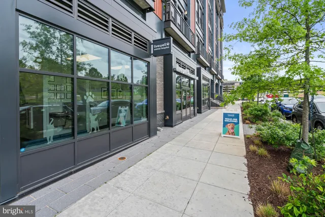 $3,149 | 6803 Cameron Drive Northwest, Unit 105, Washington, DC 20012