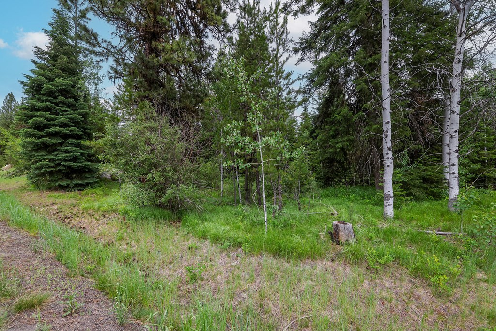 431 Timbercrest Loop, Unit 4 McCall, ID 83638 - Photo 6 of 28