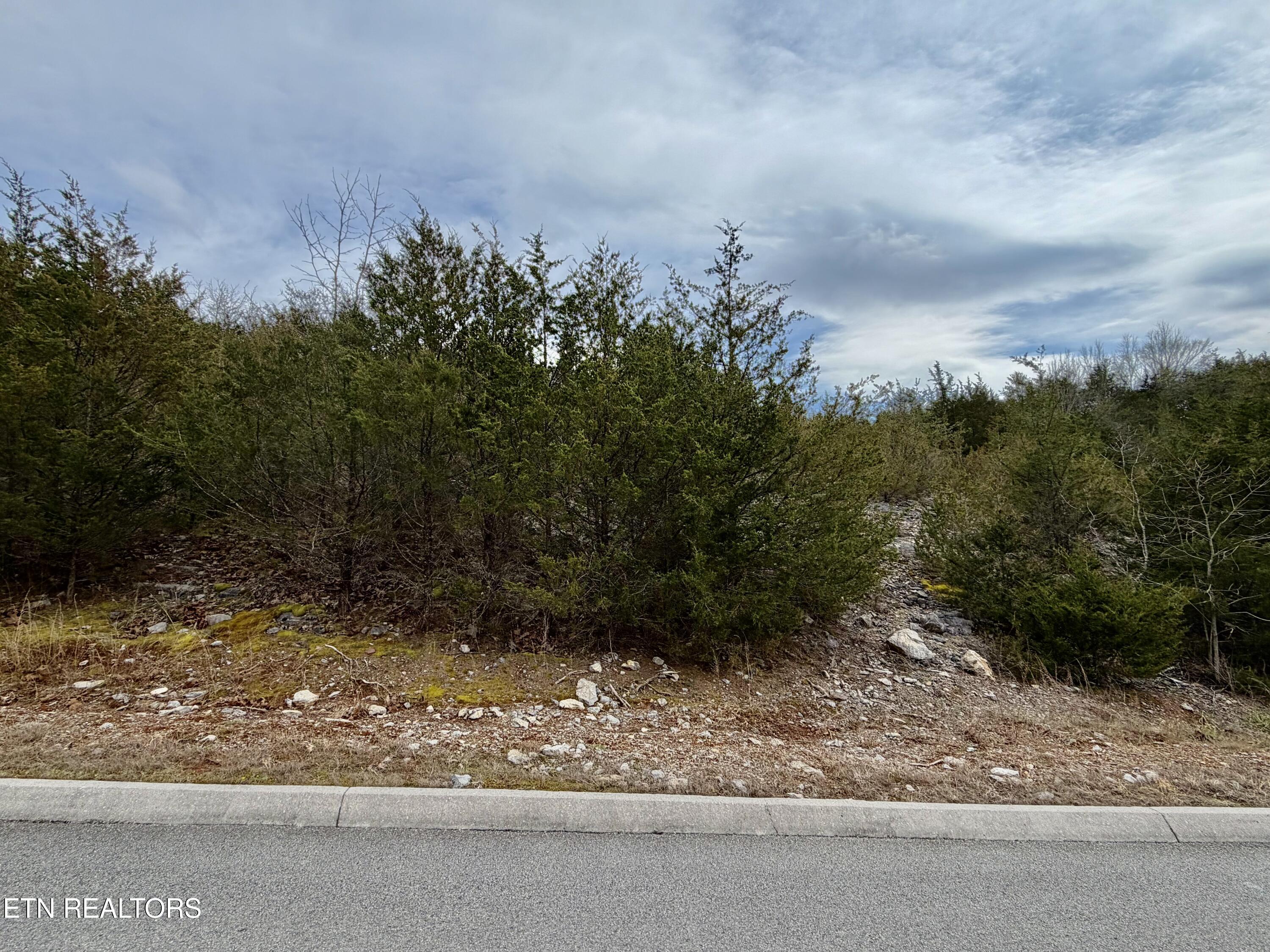 Par Place Tazewell, TN 37879 - Photo 2 of 15 IMG_2528