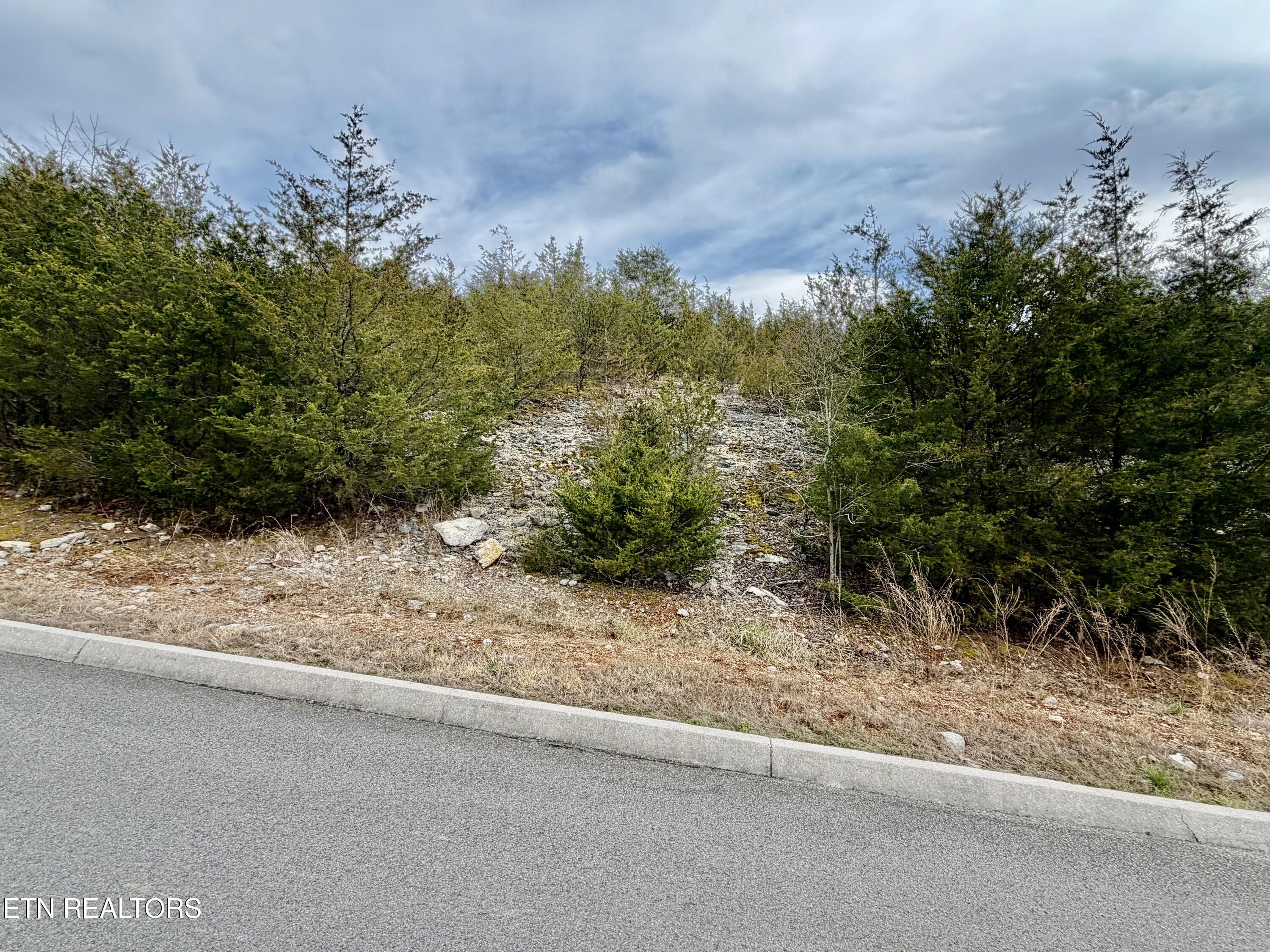 Par Place Tazewell, TN 37879 - Photo 4 of 15 IMG_2530