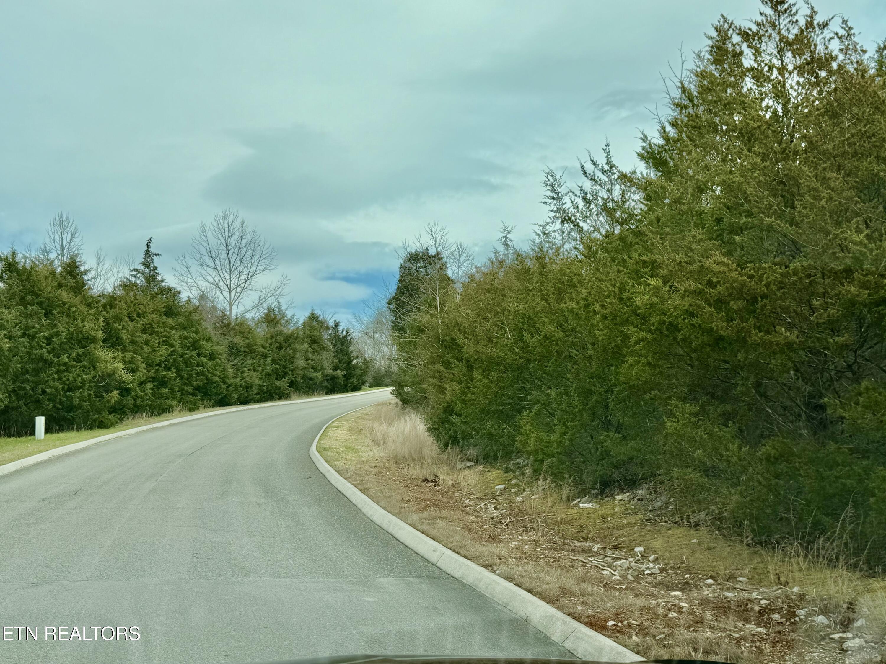 Par Place Tazewell, TN 37879 - Photo 6 of 15 IMG_2533