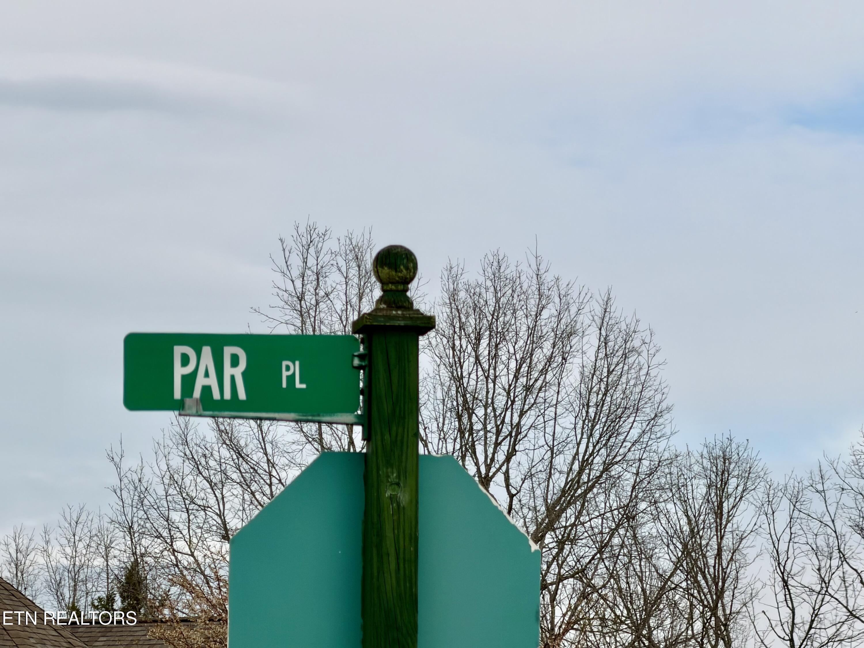 Par Place Tazewell, TN 37879 - Photo 7 of 15 IMG_2535