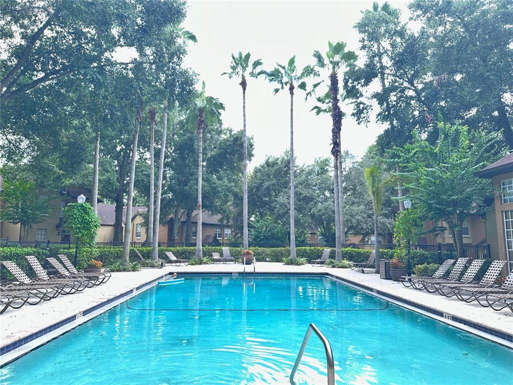 6304 Raleigh Street, Unit 202 Orlando, FL 32835 - Photo 14 of 15 a view of a swimming pool with a patio