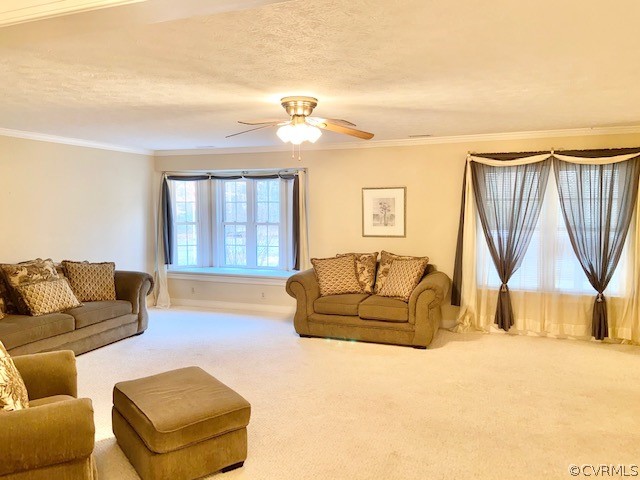 163 Deep Creek Ridge Road Mineral, VA 23117 - Photo 2 of 47 Gallery Image 2