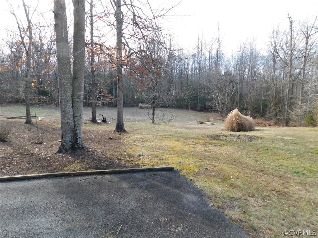 163 Deep Creek Ridge Road Mineral, VA 23117 - Photo 36 of 47 Side yard