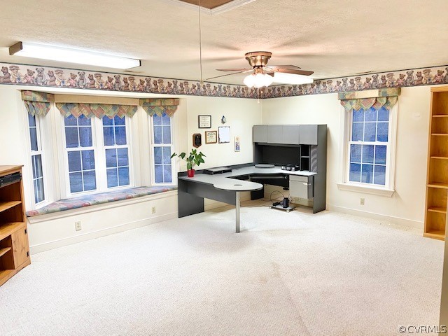 163 Deep Creek Ridge Road Mineral, VA 23117 - Photo 4 of 47 Gallery Image 4