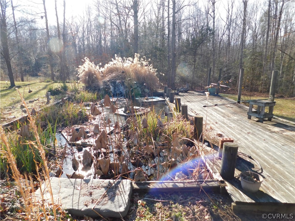 163 Deep Creek Ridge Road Mineral, VA 23117 - Photo 42 of 47 Koi pond