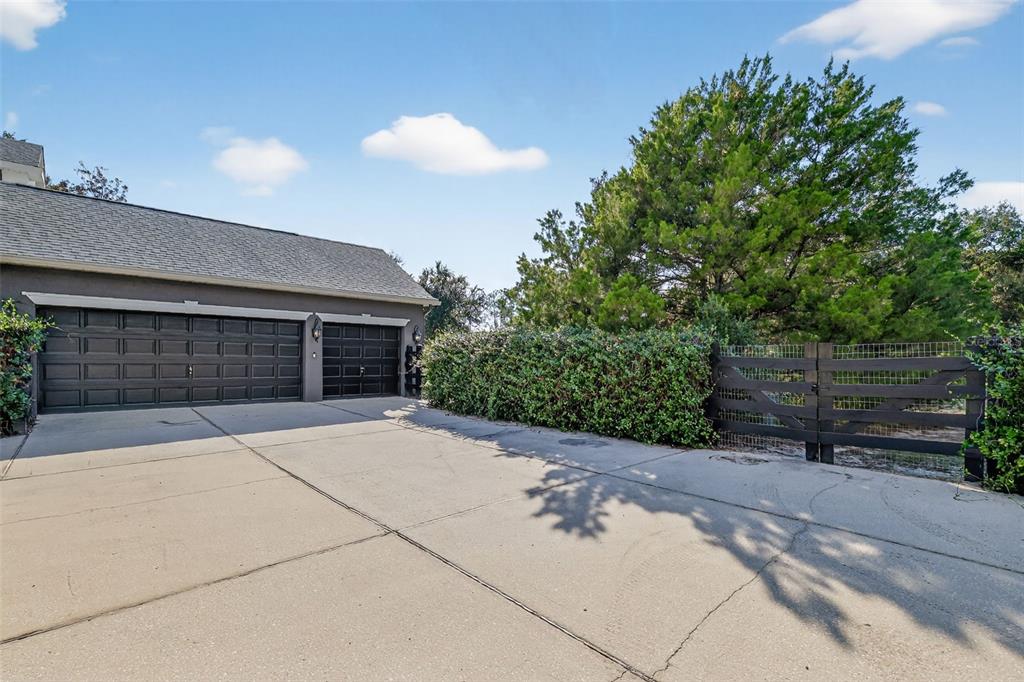 28004 Shirley Shores Road Tavares, FL 32778 - Photo 49 of 68 a view of backyard with potted plants and a large tree
