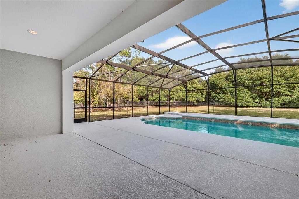 28004 Shirley Shores Road Tavares, FL 32778 - Photo 53 of 68