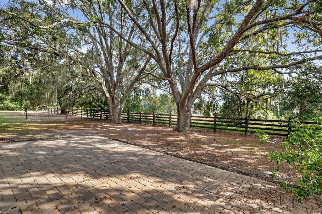 28004 Shirley Shores Road Tavares, FL 32778 - Photo 57 of 68