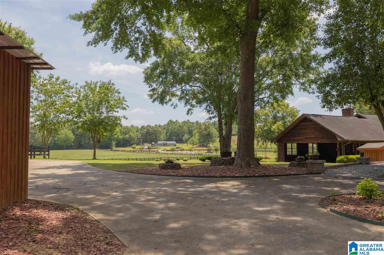 5360 McElderry Road North Munford, AL 36268 - Photo 9 of 45
