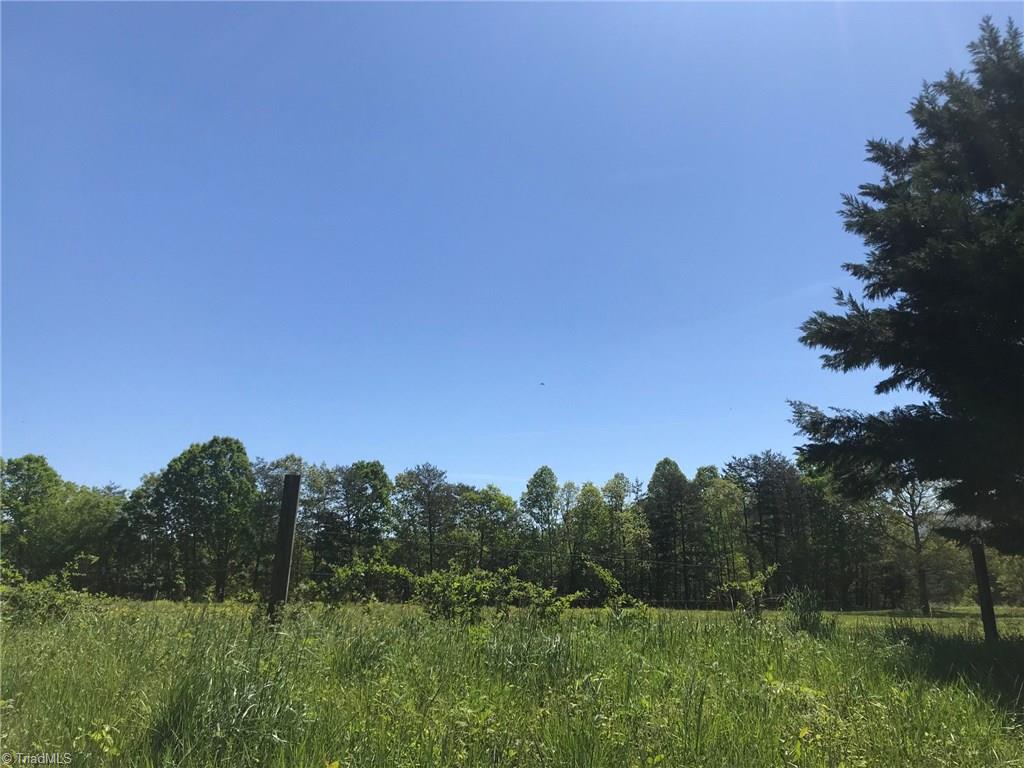 1157 Gravitte Road Pilot Mountain, NC 27041 - Photo 7 of 16 Gallery Image 7