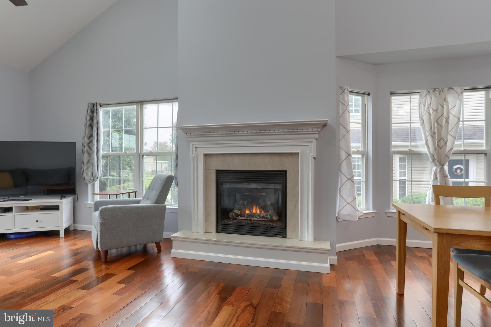 81 Carousel Circle Hershey, PA 17033 - Photo 12 of 33 Cozy gas fireplace