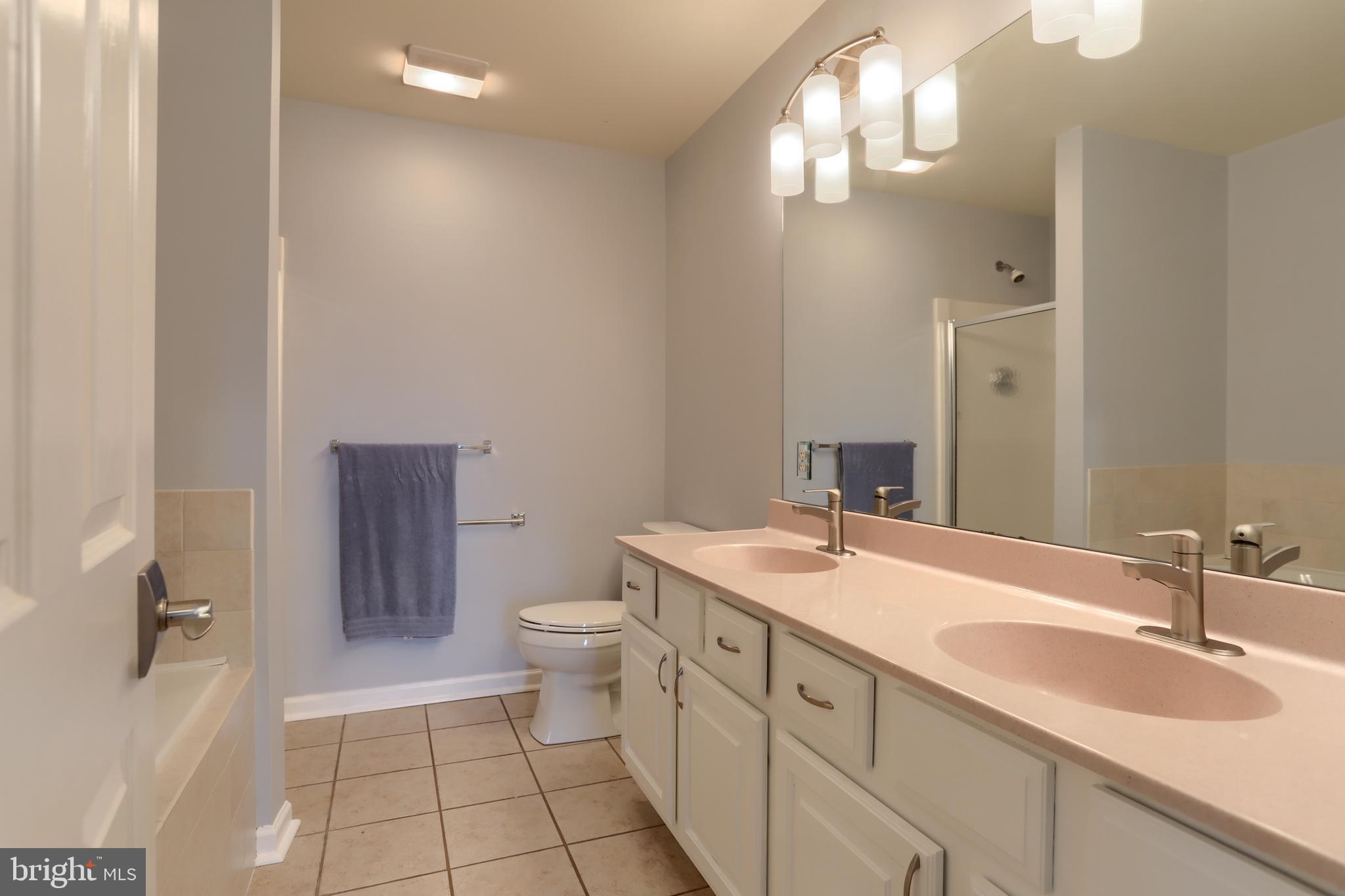 81 Carousel Circle Hershey, PA 17033 - Photo 20 of 33 Primary bathroom with fresh paint