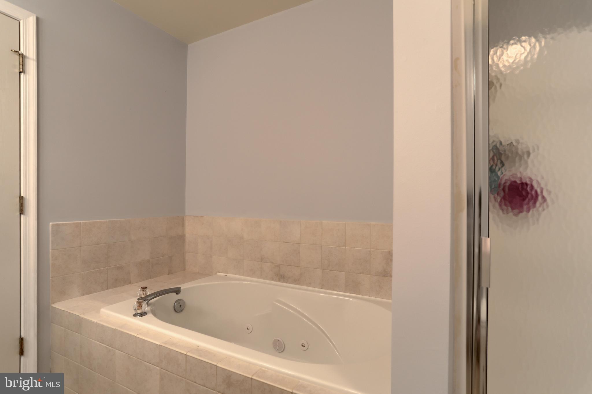 81 Carousel Circle Hershey, PA 17033 - Photo 21 of 33 Soaking jetted tub