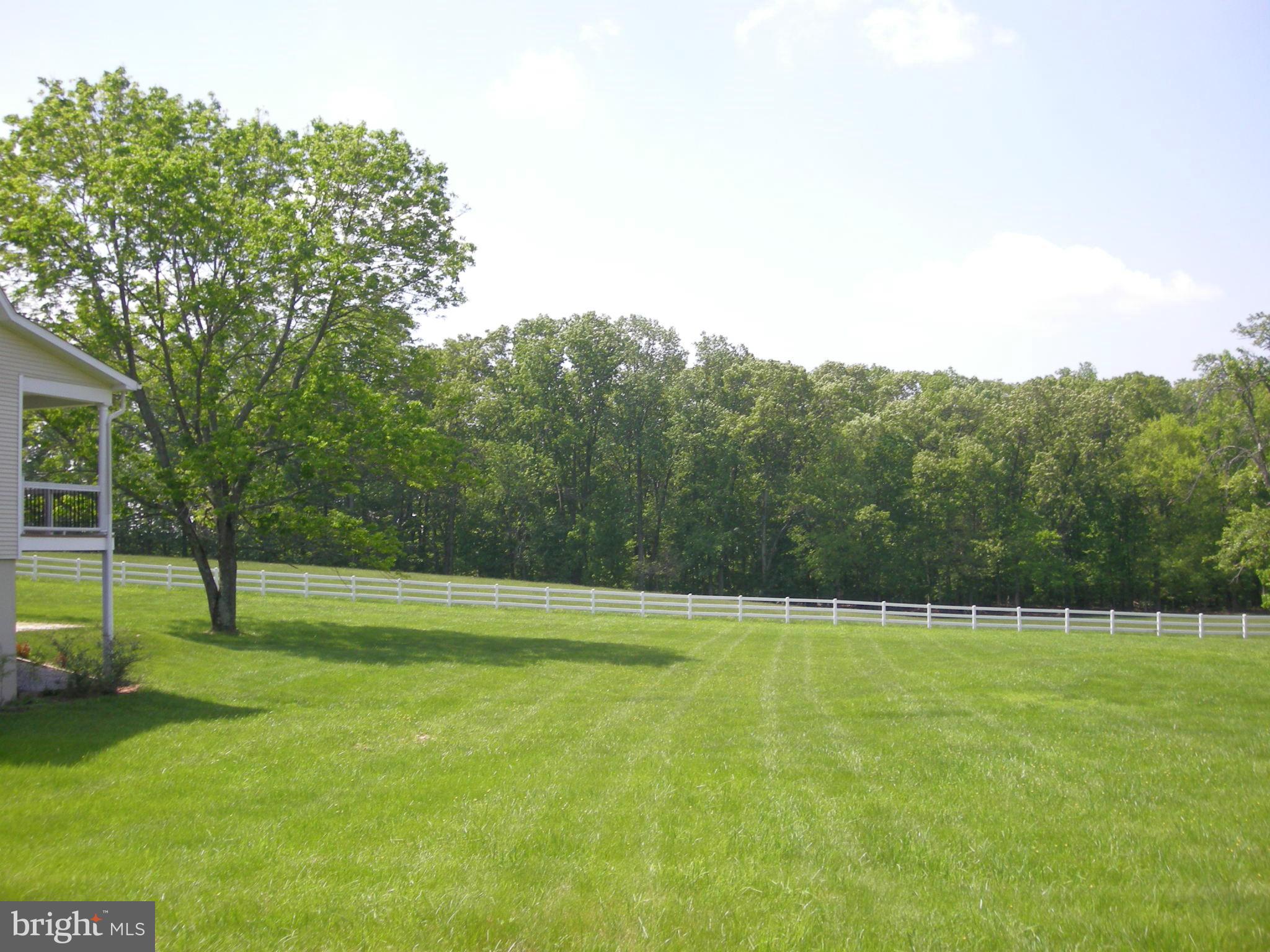 3903 Eland Road Phoenix, MD 21131 - Photo 4 of 29 View of the back yard