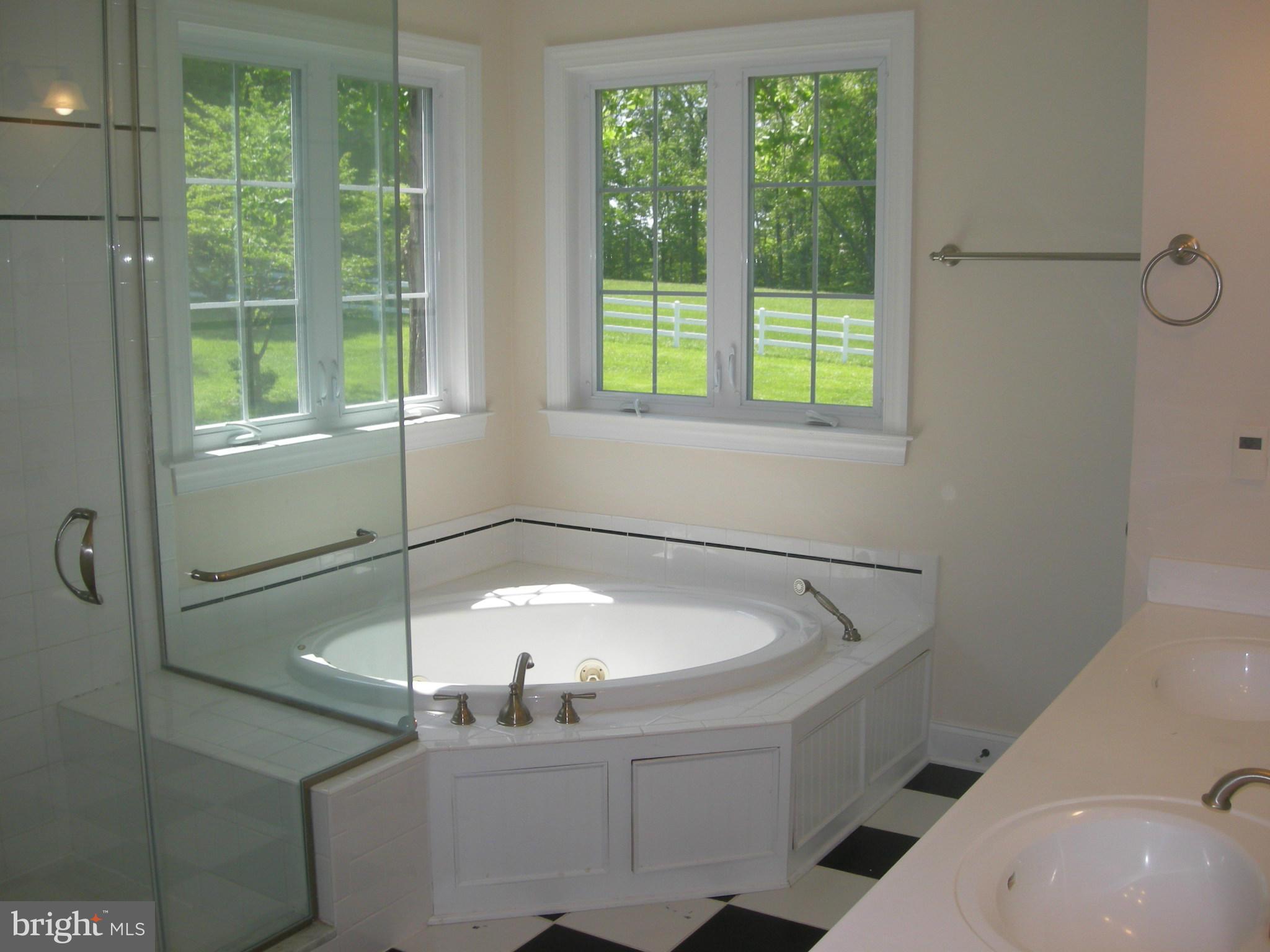 3903 Eland Road Phoenix, MD 21131 - Photo 8 of 29 Bedroom (Master) Tub