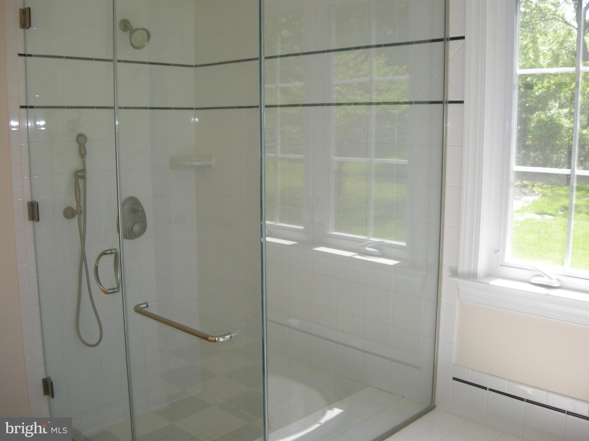 3903 Eland Road Phoenix, MD 21131 - Photo 9 of 29 Bedroom (Master) Shower
