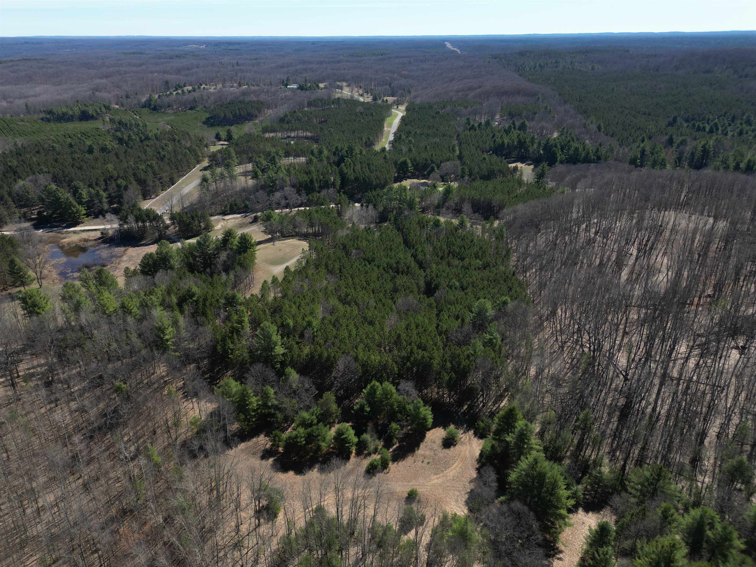3041 Dockery Road East, Unit LOT: 2 Williamsburg, MI 49690 - Photo 3 of 18