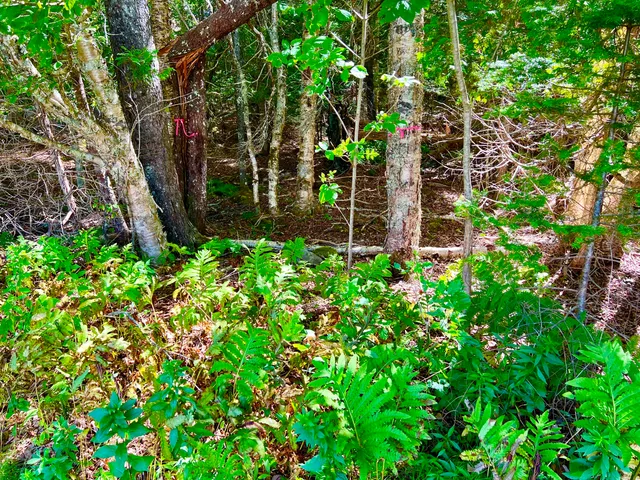 $469,000 | 658 Tremont Road, Tremont, ME 04612