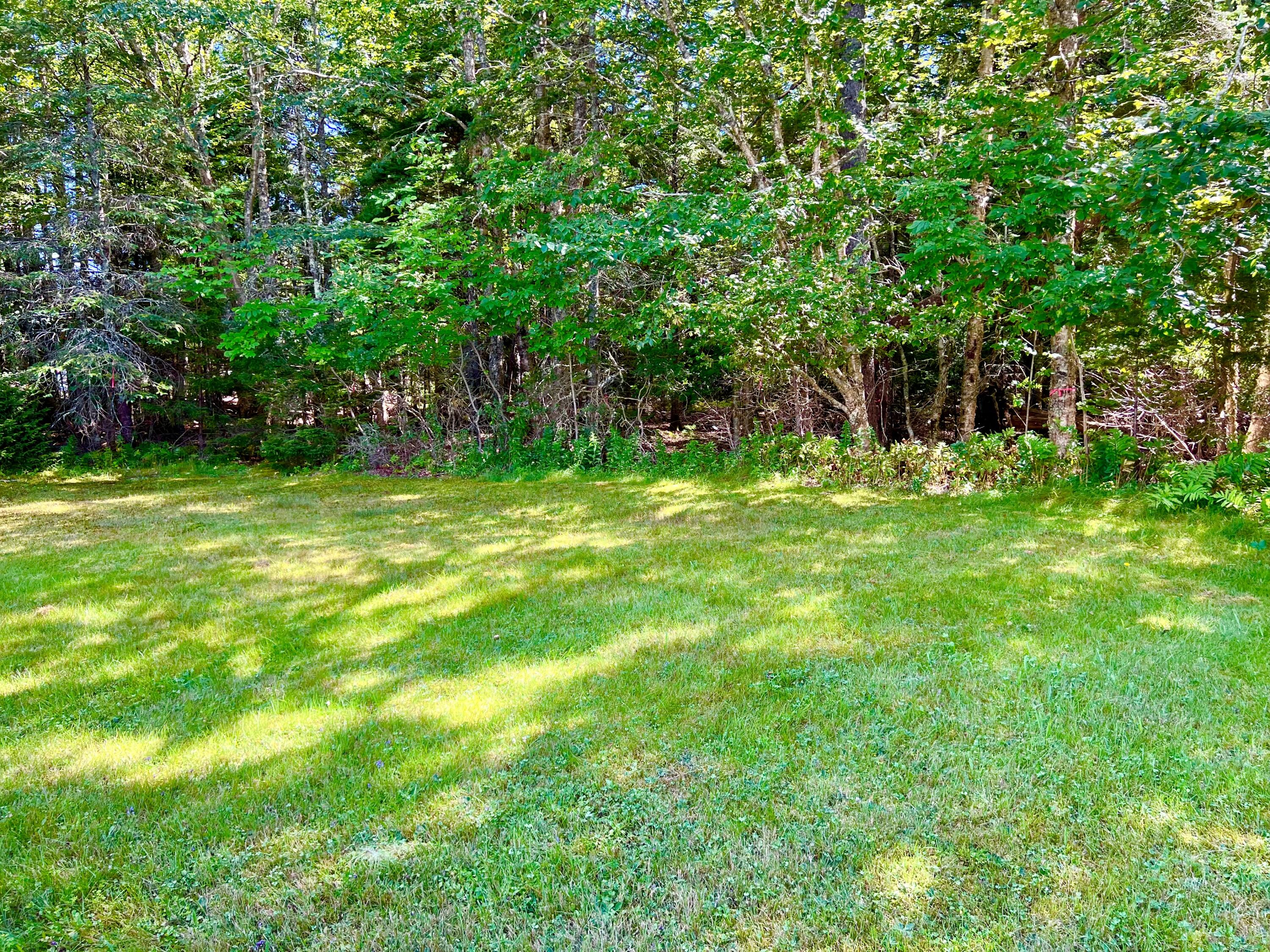 658 Tremont Road Tremont, ME 04612 - Photo 34 of 42 Back yard