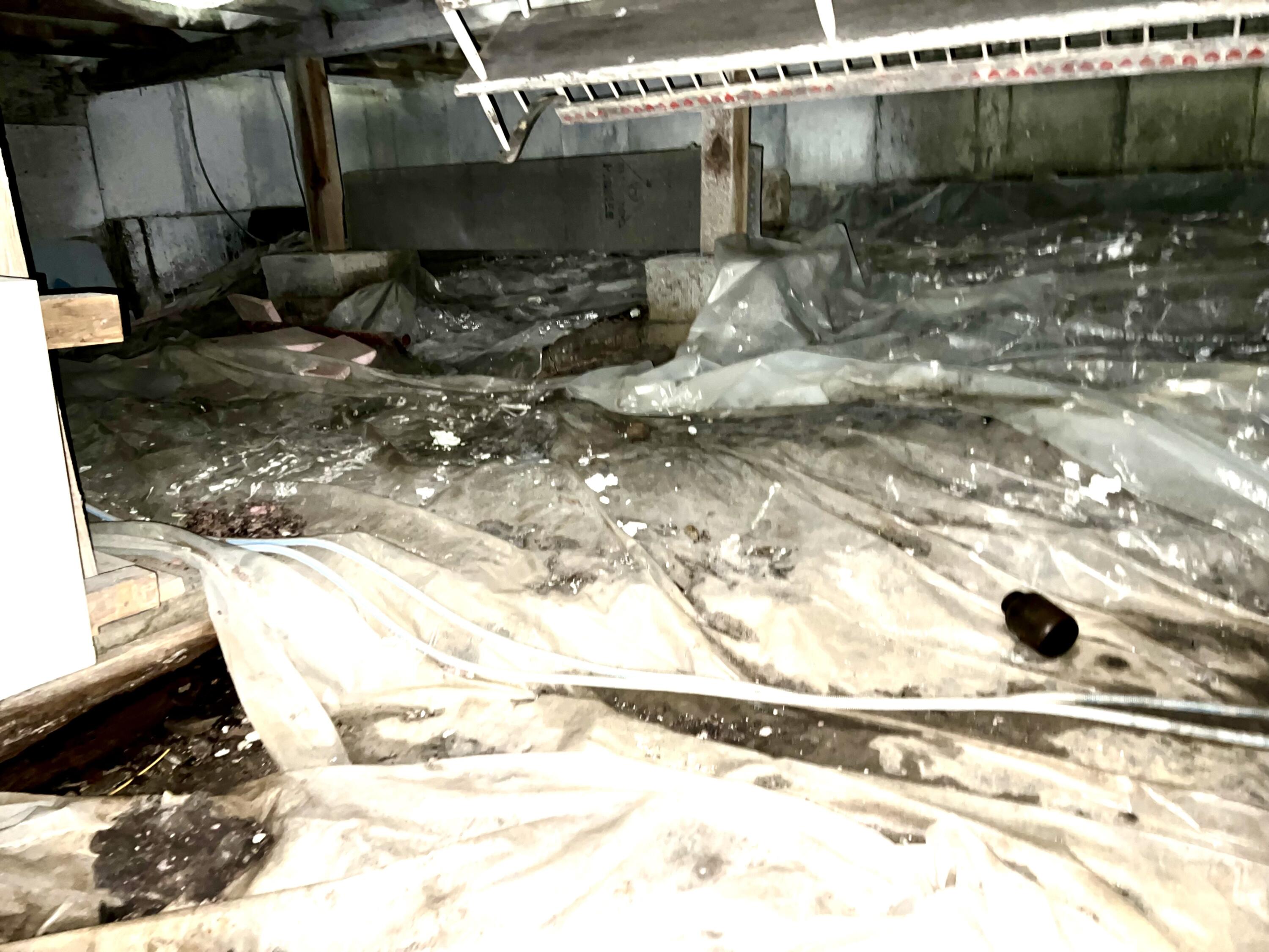 658 Tremont Road Tremont, ME 04612 - Photo 40 of 42 Basement