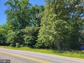 Lot 17 Mill Hill Road Waldorf, MD 20603 - Photo 2 of 3 a view of a yard