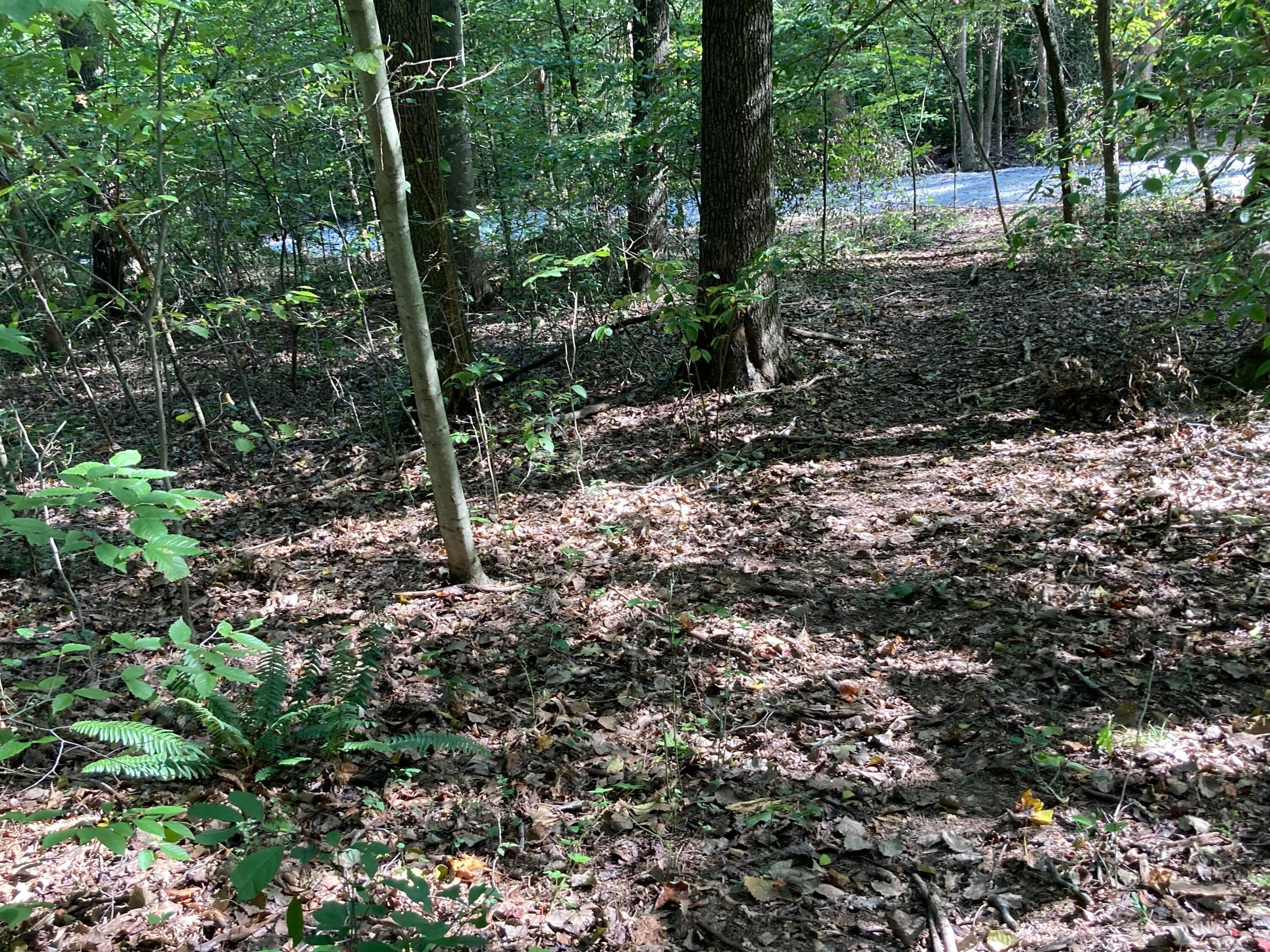 13284 Jake Tom Road Logan, OH 43138 - Photo 19 of 60 Gallery Image 19