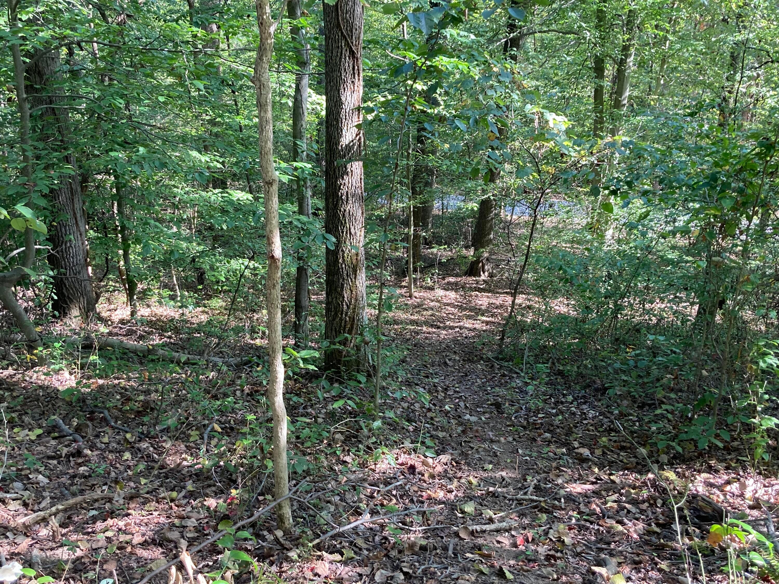13284 Jake Tom Road Logan, OH 43138 - Photo 20 of 60 Gallery Image 20