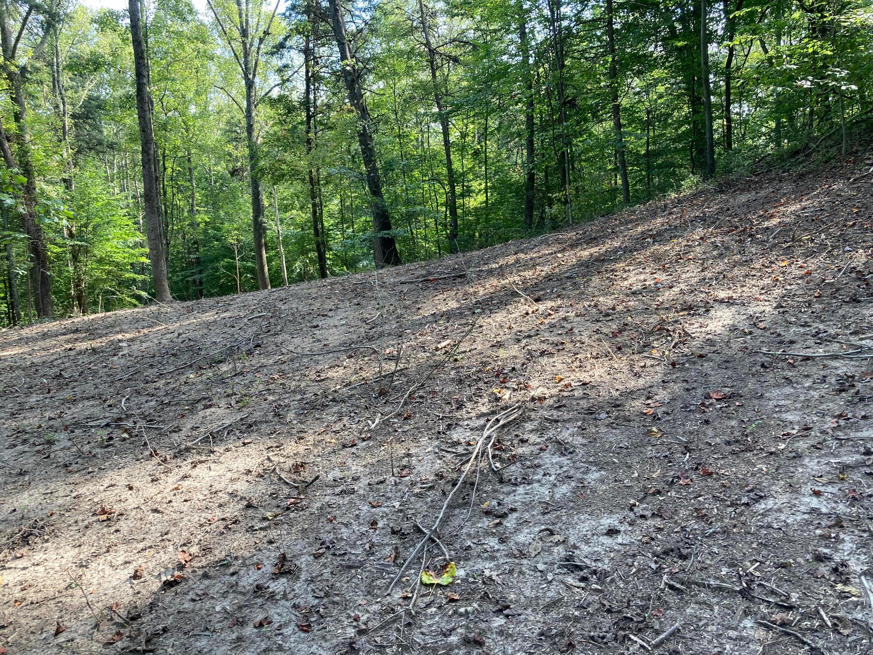 13284 Jake Tom Road Logan, OH 43138 - Photo 22 of 60 Gallery Image 22