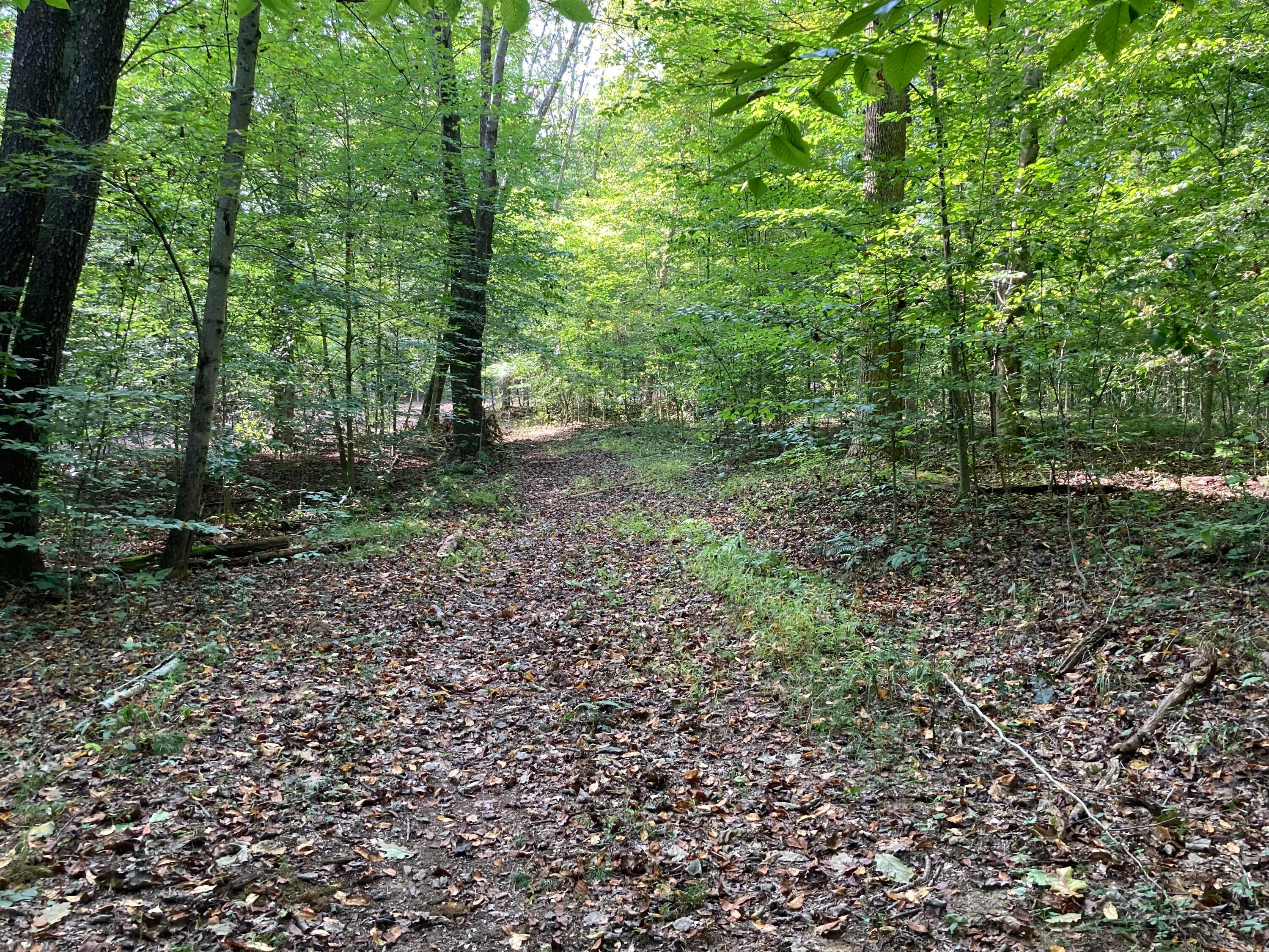 13284 Jake Tom Road Logan, OH 43138 - Photo 24 of 60 Gallery Image 24