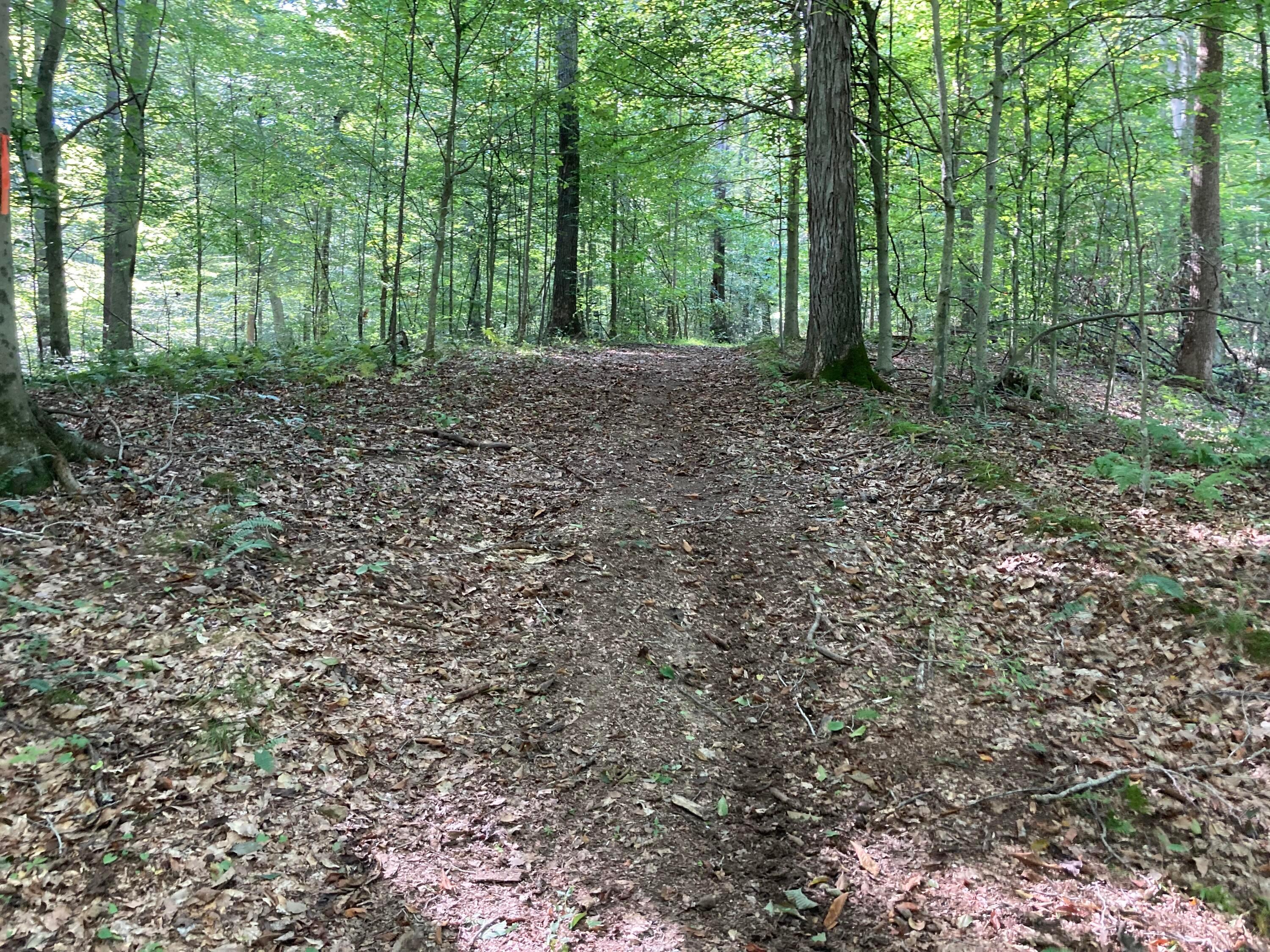 13284 Jake Tom Road Logan, OH 43138 - Photo 25 of 60 Gallery Image 25