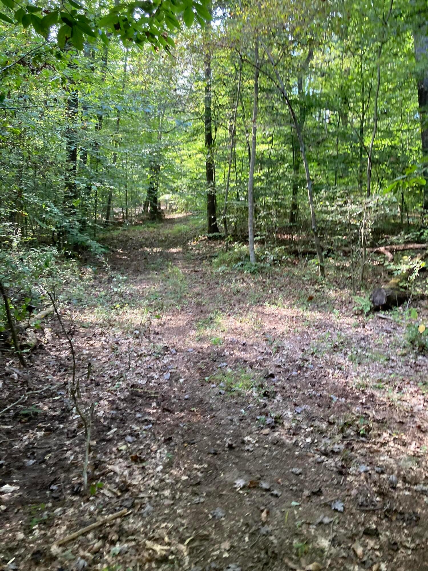 13284 Jake Tom Road Logan, OH 43138 - Photo 26 of 60 Gallery Image 26