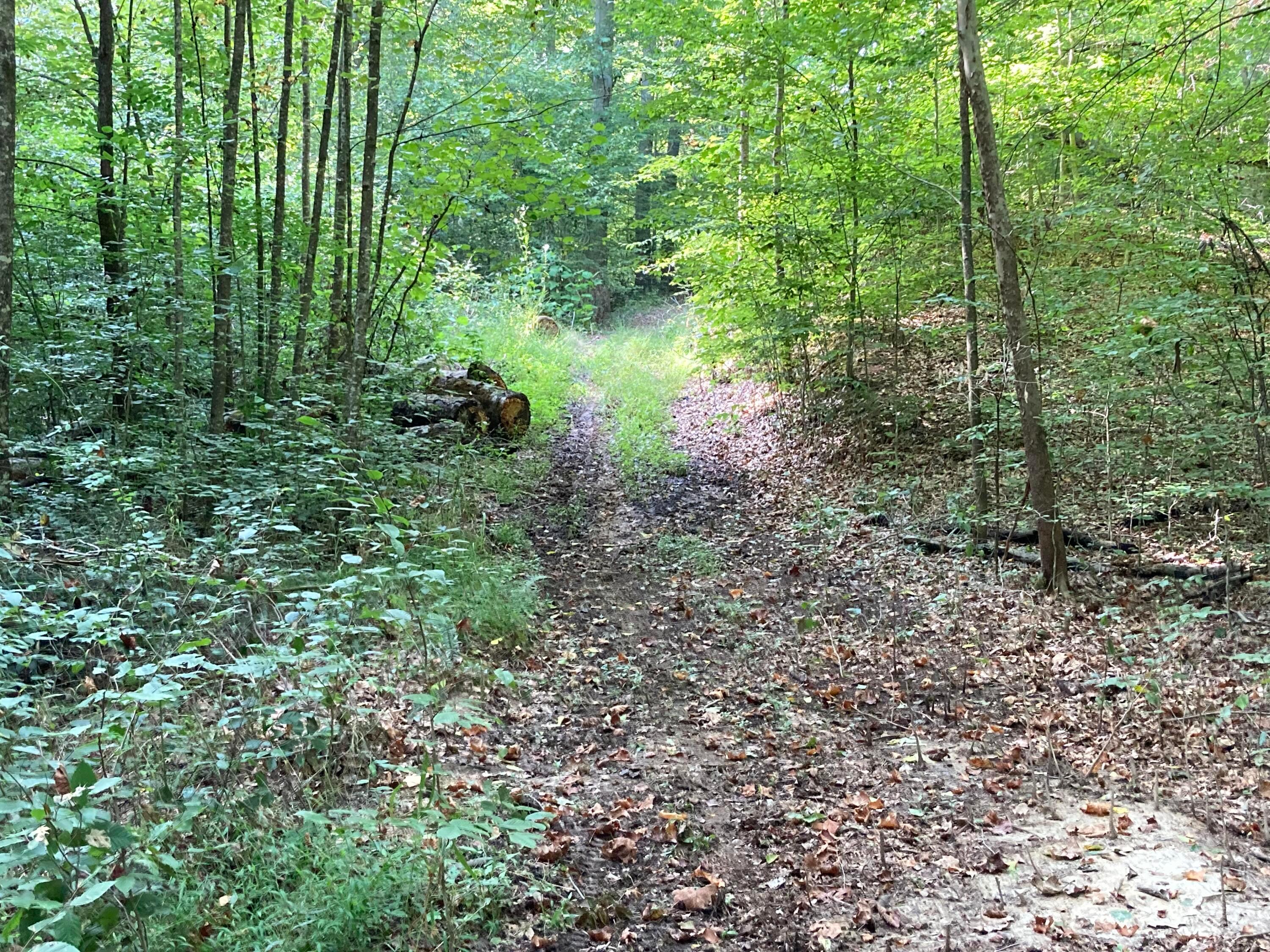 13284 Jake Tom Road Logan, OH 43138 - Photo 28 of 60 Gallery Image 28
